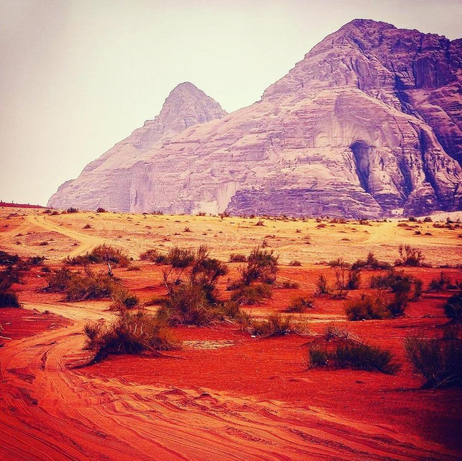 Maraheb Luxury Camp Hotel Wadi Rum Buitenkant foto